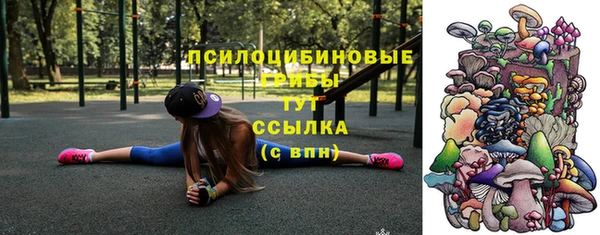 тгк Балахна
